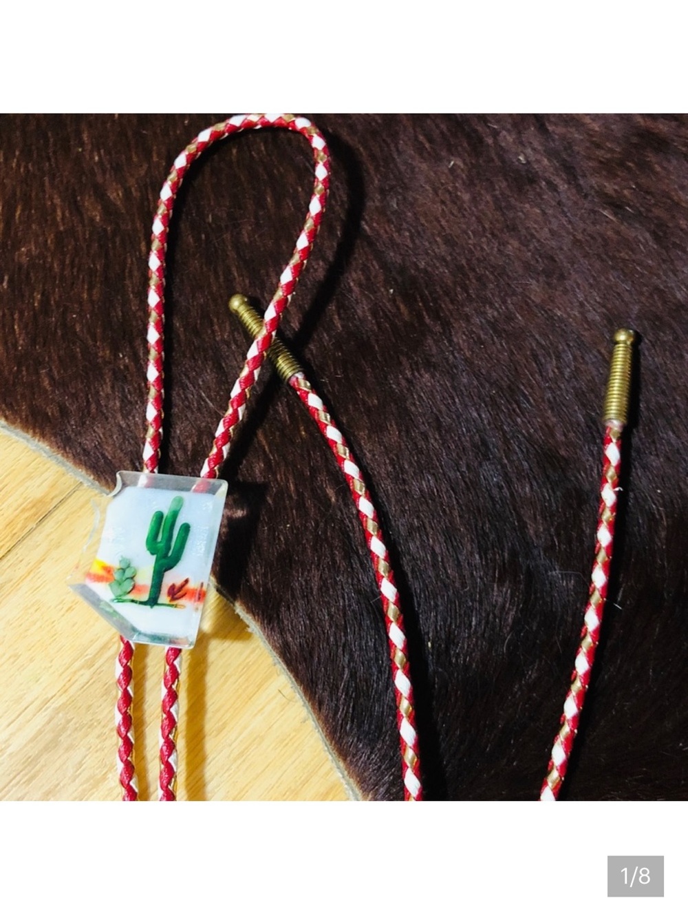 Vintage South Western Arizona Cactus Bolo Tie